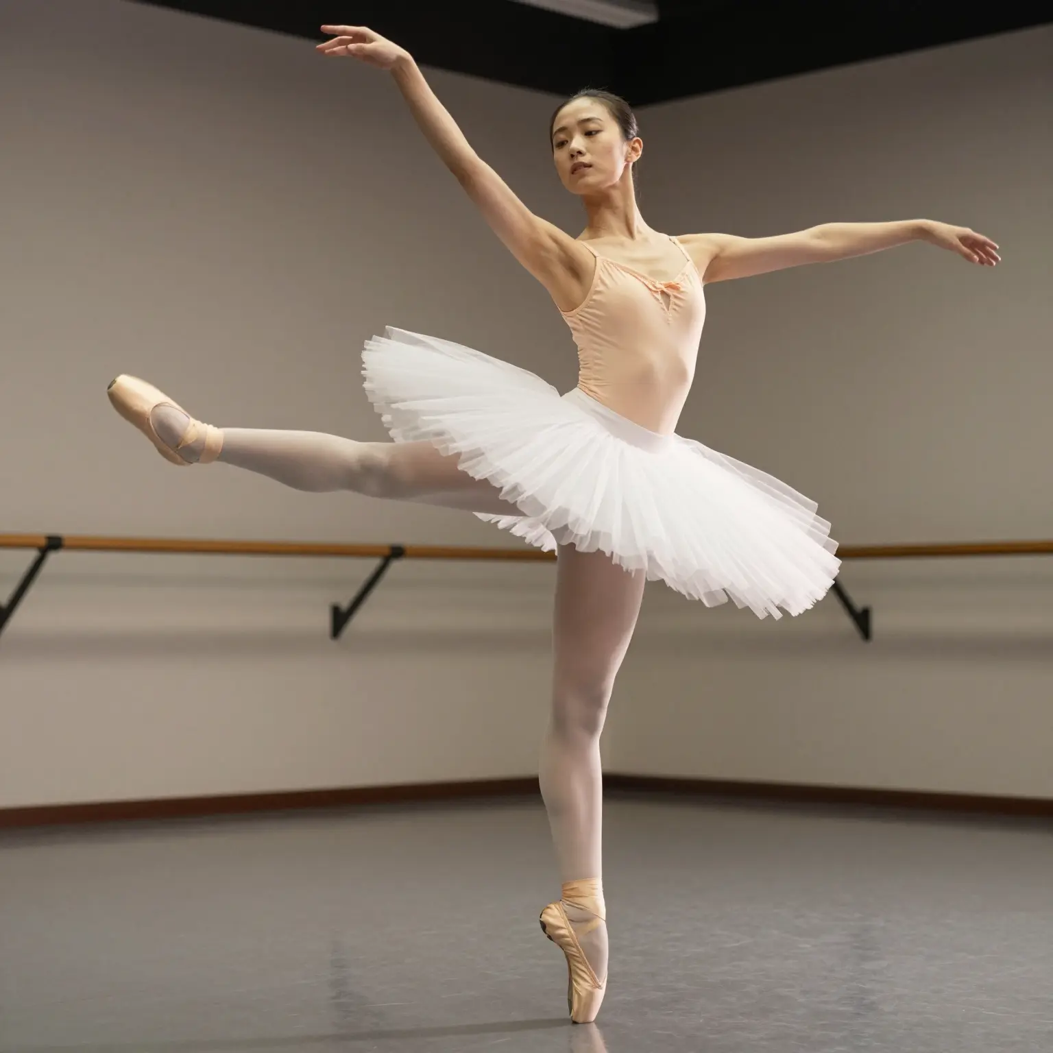 High-quality chicken tutu balletwear